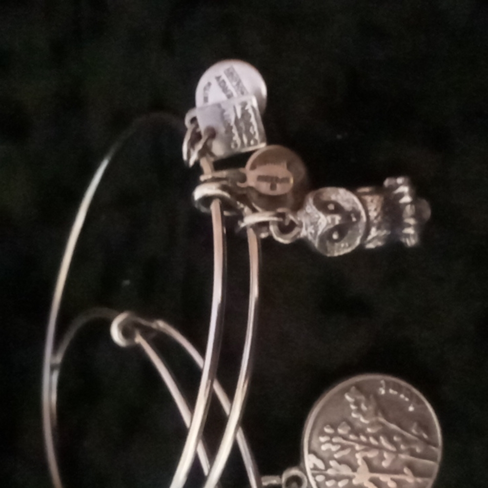 2 Alex and Ani the owl and aunt bangle bracelets